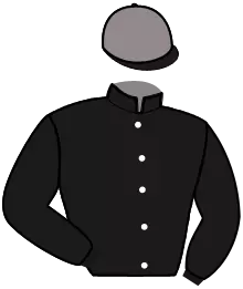 N°6