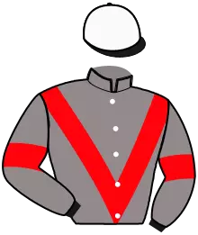 N°11