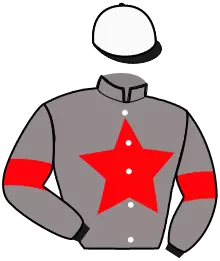 N°6