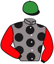 N°6