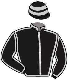 N°6