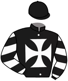 EL GRAN PIRATA