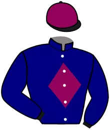 TOPY'SIM