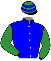 GIUDICELLA