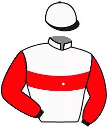 N°6
