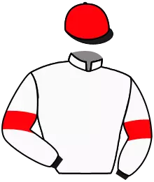 N°11