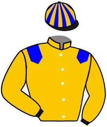 WAR OFFICER