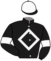 N°6