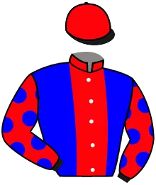 N°11