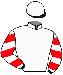 N°11