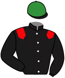 N°6