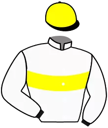 N°11