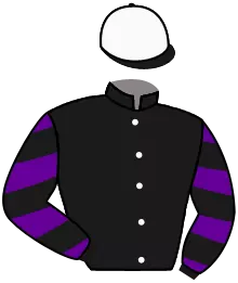 N°11