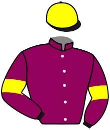 N°13