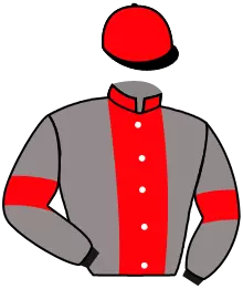 N°15