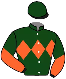 FROSTED PUNK