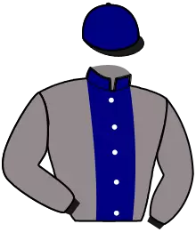 N°11