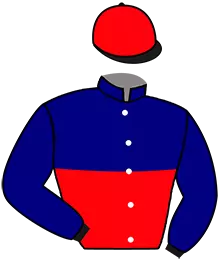 N°11