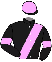 N°6