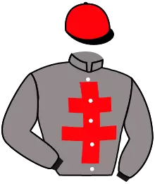 N°11