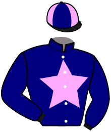 N°13