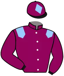 N°13