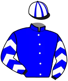 N°17