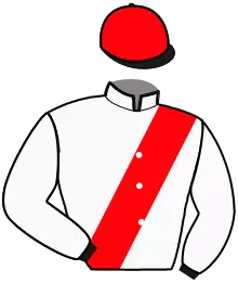 N°6