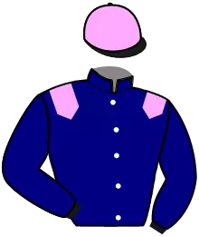 N°11