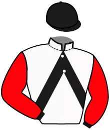 N°13