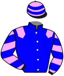 N°15