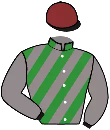 N°13