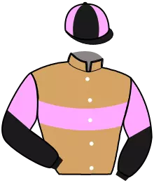 N°4