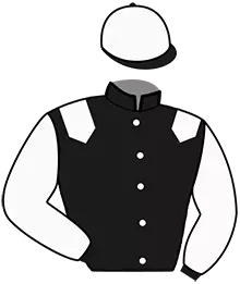 N°6