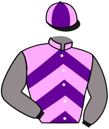 N°11