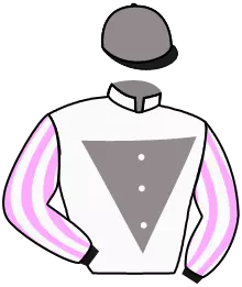 N°11