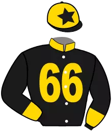 N°11