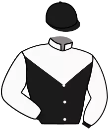 N°5