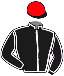 N°6