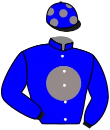 N°11