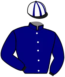N°13