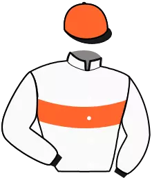 N°5