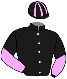 N°11