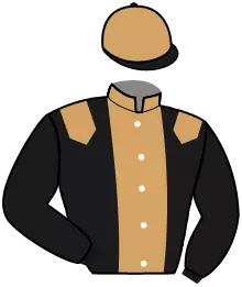N°6