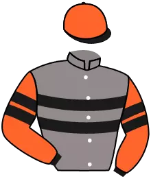 N°6
