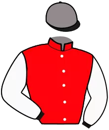 N°6