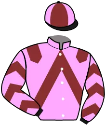 N°6
