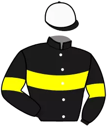 N°6