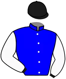 N°6