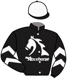 palace-of-holyroodhouse-class-2-handicap-ascot-gb-19-06-2026